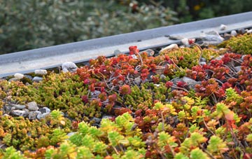 the cost of Pitreuchie green roof installation