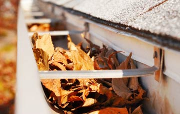 Pitreuchie gutter cleaning companies