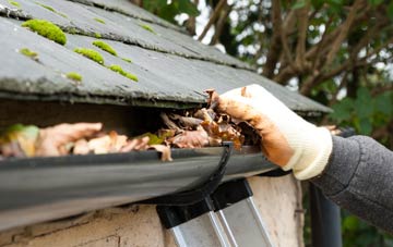 gutter cleaning Pitreuchie, Angus