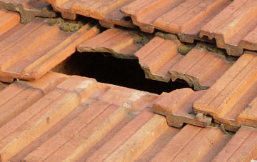 roof repair Pitreuchie, Angus